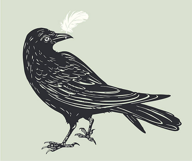 carrion-crow with white  feather - ölüm illüstrasyonlar stock illustrations