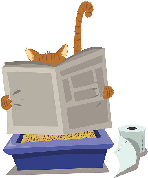 Cat and Litterbox vector art illustration