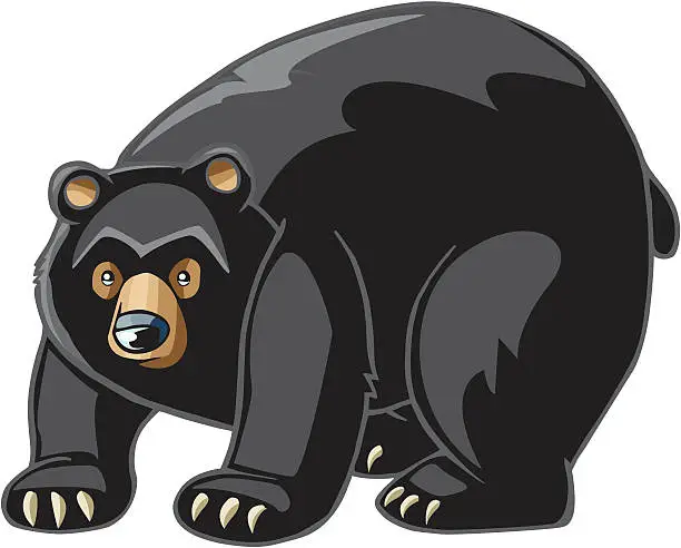 Vector illustration of Black Bear