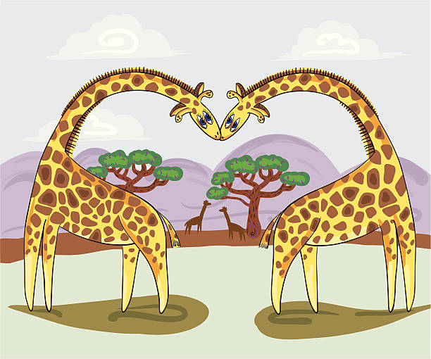 Giraffes kissing "Illustration of cute giraffe couple kissing in an African landscape painted in a naAAve style. ai, eps, jpg included." rothschild giraffe stock illustrations