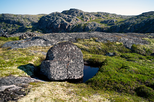 Falköping, Sweden - July 21, 2017: Old rune stone in a forest