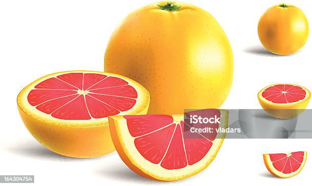 Vetores de Toranja e mais imagens de Grapefruit Rosa - Grapefruit Rosa, Agricultura, Alimentação Saudável