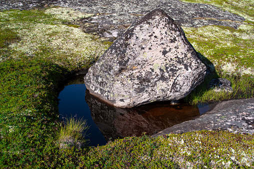 Large stone on a granite plate with little pond and green grass, reflection