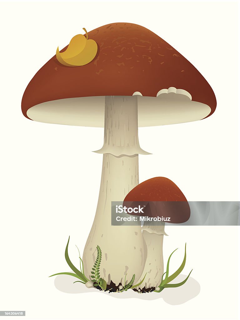 Champignons avec feuilles et herbe - clipart vectoriel de Aliment libre de droits