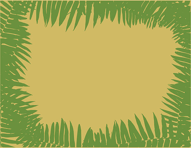 Fern leaf, jungle artistic border in vector vector art illustration