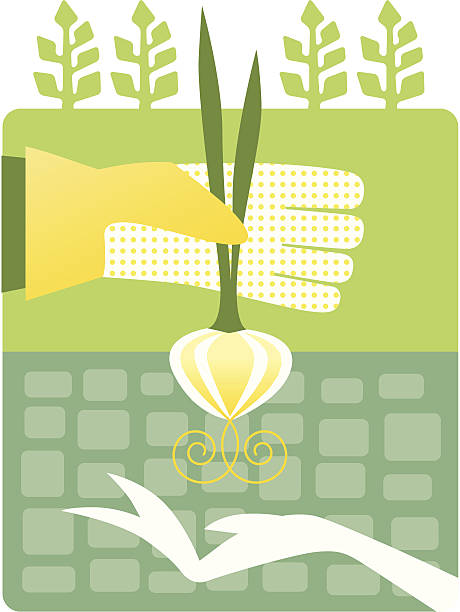 Digital drawing of man with glove handing over a produce vector art illustration