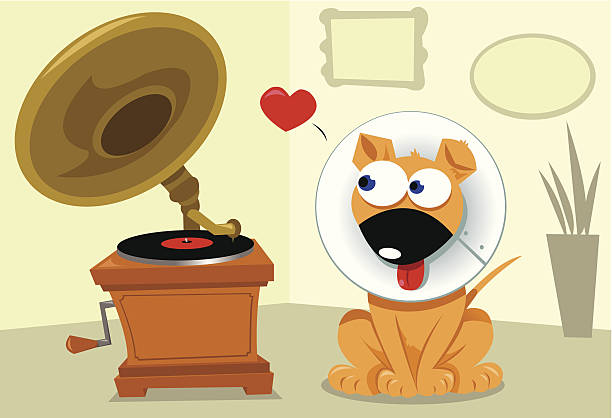 смешные собаки и grammophone - animal hospital audio stock illustrations