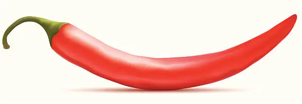Vector illustration of Hot red chili pepper
