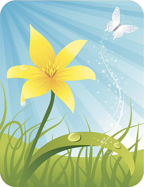 ilustraciones, imágenes clip art, dibujos animados e iconos de stock de mariposa flor de primavera con - butterfly flower single flower grass