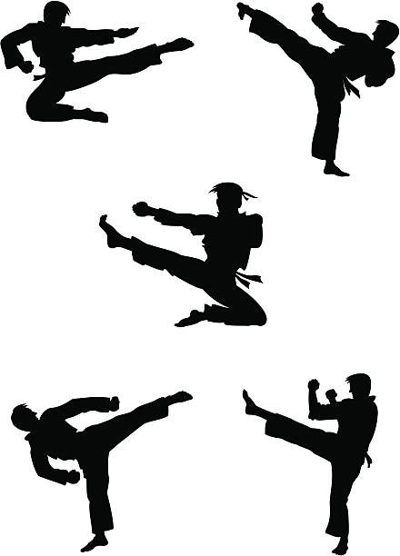 illustrazioni stock, clip art, cartoni animati e icone di tendenza di karate combattente silhouette - kicking
