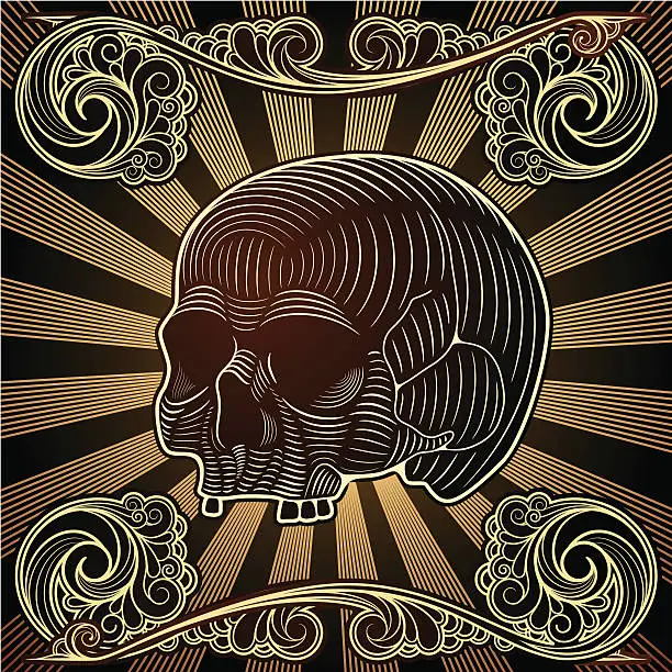 Vector illustration of background with  skull