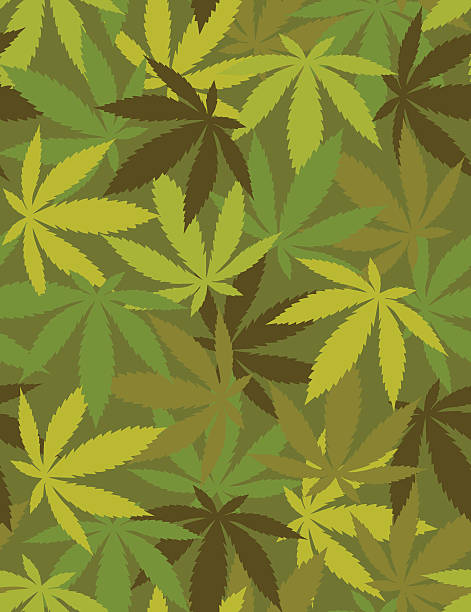 Marijuana Plant vector art illustration