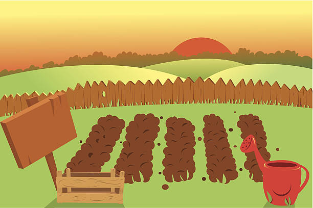 Sunset on Farm vector art illustration