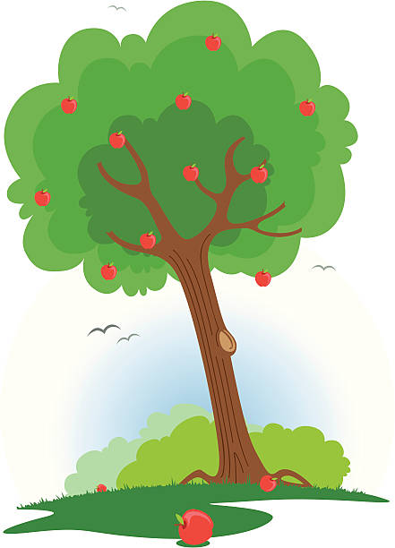 Apple Tree vector art illustration