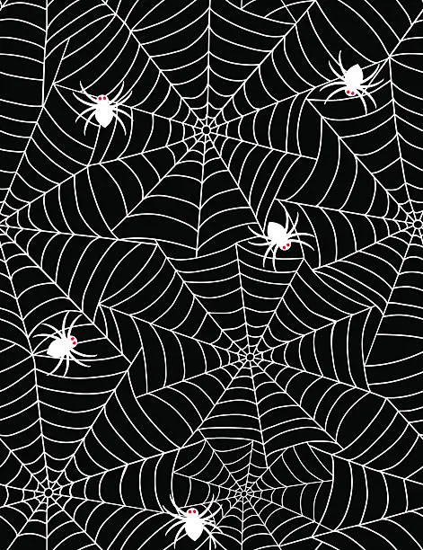 Vector illustration of spiders in web