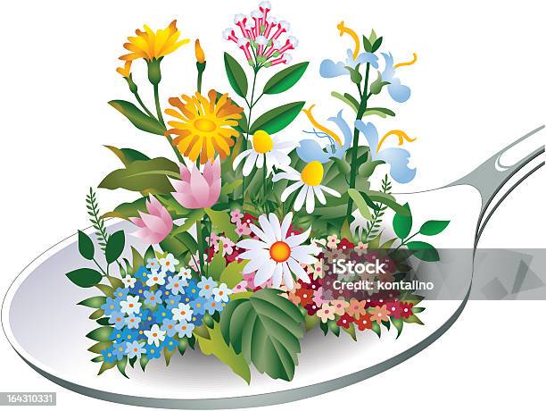 Herbspoon Zdrowia - Stockowe grafiki wektorowe i więcej obrazów Bez ludzi - Bez ludzi, Botanika, Dziki kwiat
