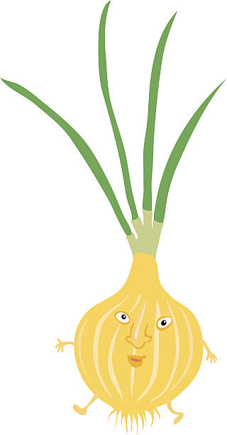 Hey, It's The Onion Boy vector art illustration