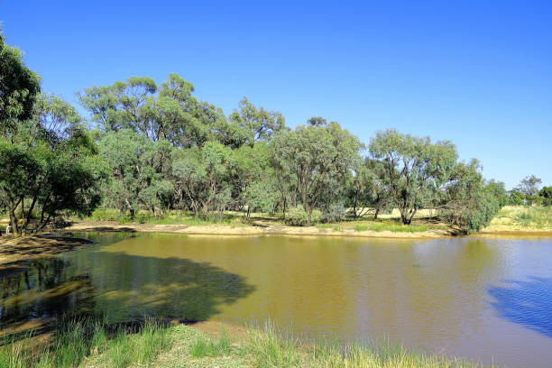 istock Mathoura,  New South Wales, Australia 1643109306