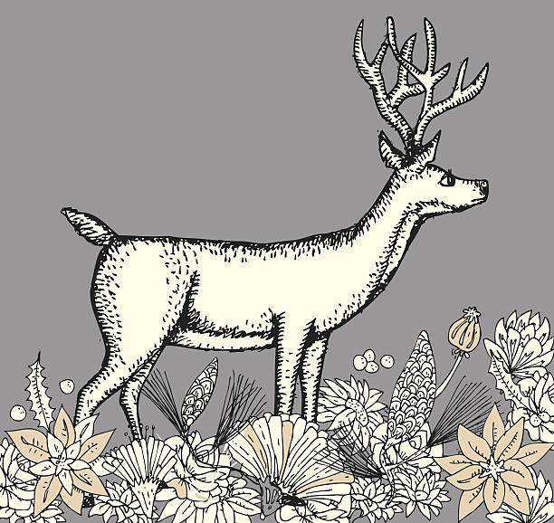 Reindeer in flower background. vector art illustration