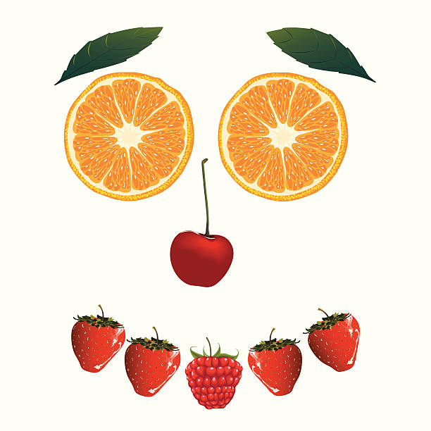 Fruit vector art illustration