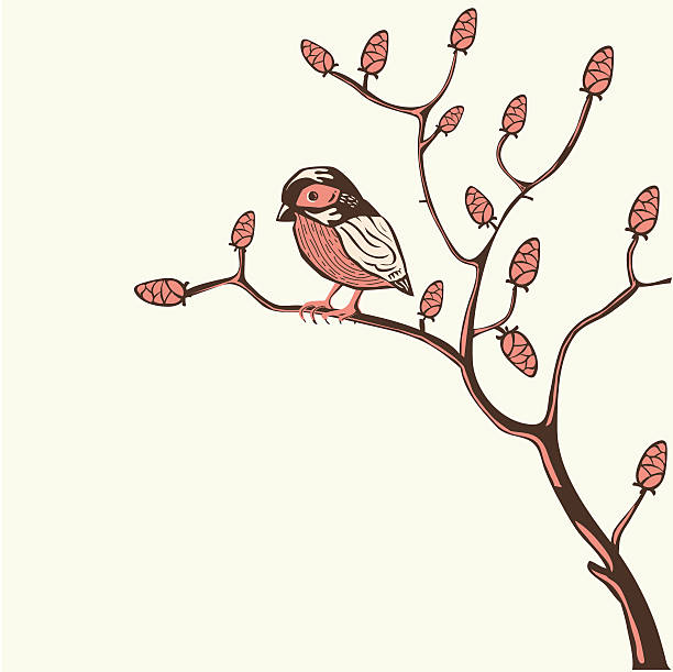 Bird on a branch vector art illustration