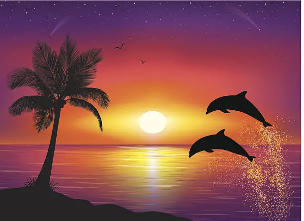 Vector illustration of Silhouette of palm tree and dolphins.
