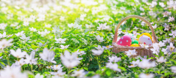 istock Basket with Easter eggs in forest - season greeting card and background horizontal banner 1643131243