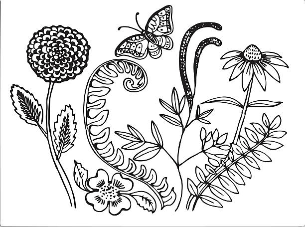 Fleurs avec des papillons - Illustration vectorielle