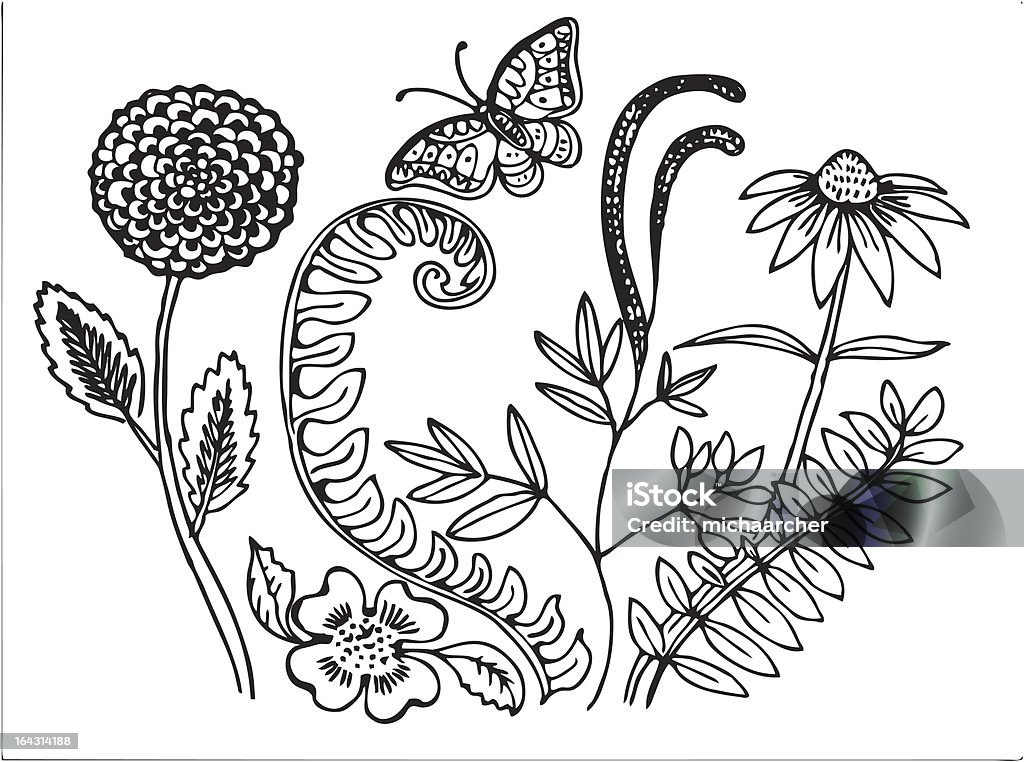 flowers with a butterfly A variety of flowers a fern and  a butterfly Coneflower stock vector