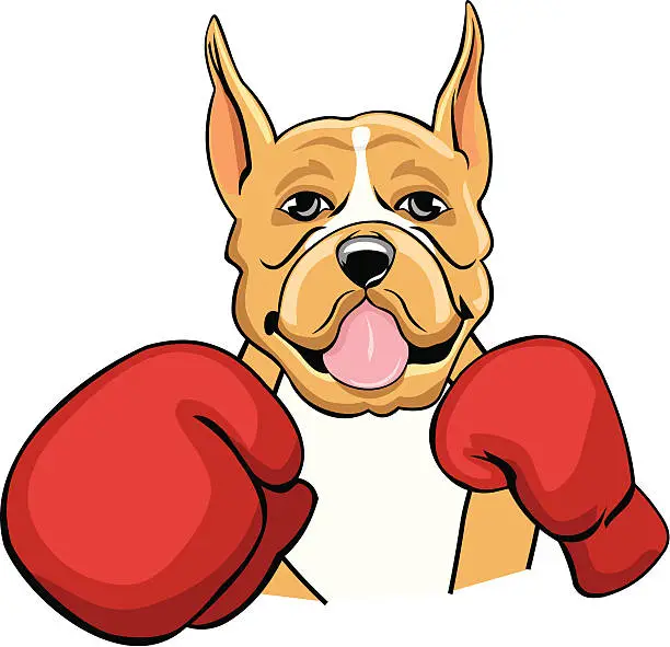 Vector illustration of Boxing boxer