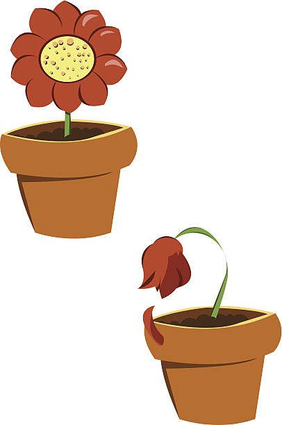 ilustrações, clipart, desenhos animados e ícones de vasos de flores - vaso de planta murcha