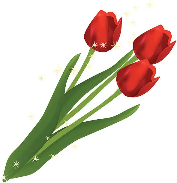 Vector illustration of Tulips