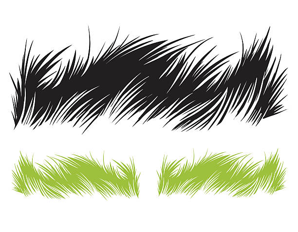 Grass illustration Grass drawing. Vector illustration. beauty in nature illustrations stock illustrations