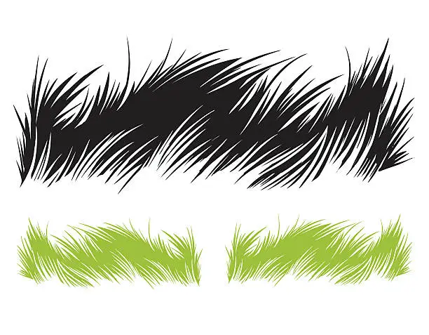 Vector illustration of Grass illustration