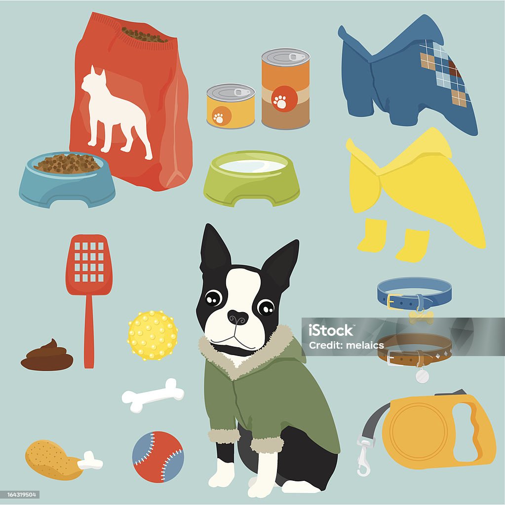 Pet equipment / boy Some cute stuff for a puppy of Boston Terrier Dog stock vector