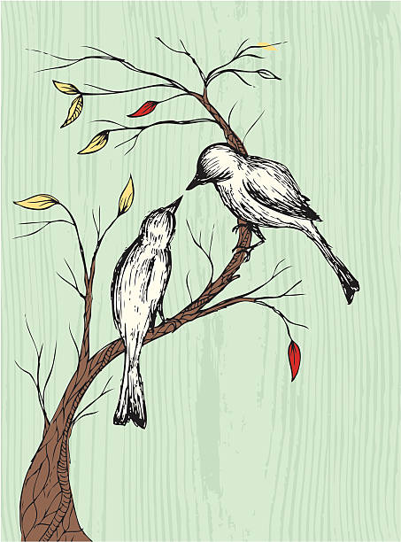 Amour des oiseaux - Illustration vectorielle