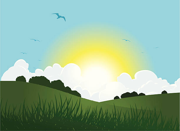 Sunrise "sun rising from behind a cloudscape, over grassy hills." grass vector meadow spring stock illustrations