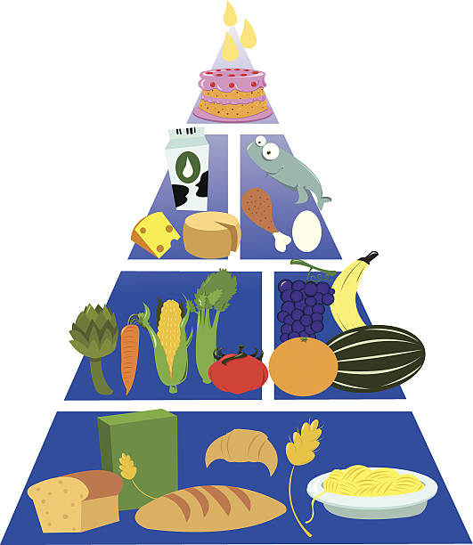 食品ピラミッド - food pyramid food healthy eating spaghetti点のイラスト素材／クリップアート素材／マンガ素材／アイコン素材