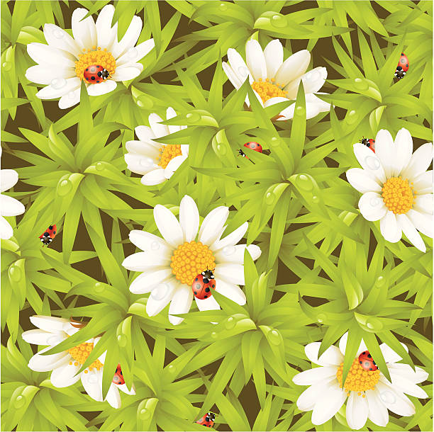 Vector seamless background: camomiles and ladybugs vector art illustration