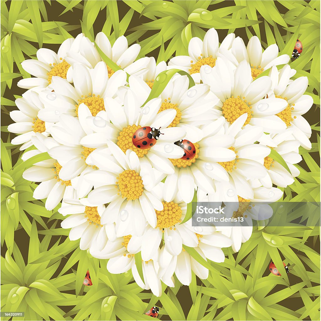 Camomile Heart, ladybugs and seamless background "Camomile Heart, ladybug and seamless background of grass" Animal stock vector