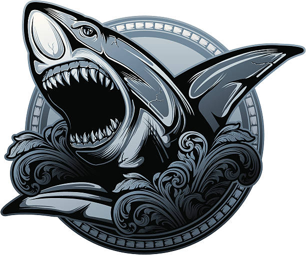 Shark Stylized illustration of a menacing looking shark. Hi-res jpeg included. great white shark stock illustrations
