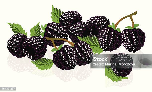 Forest Blackberries Stock Illustration - Download Image Now - Backgrounds, Berry Fruit, Black Color