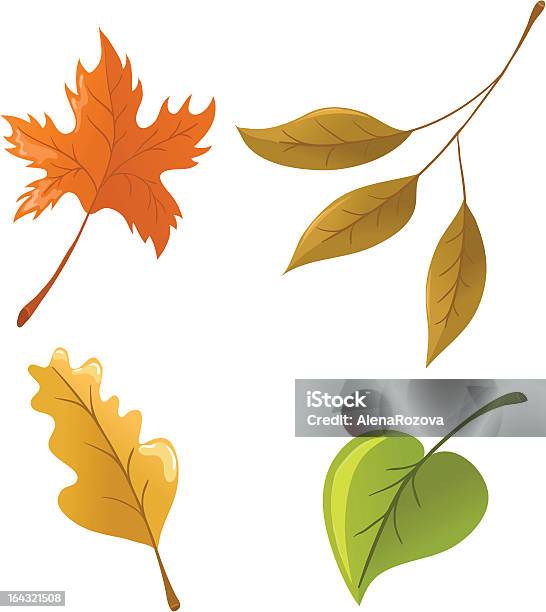 Jesień Liście - Stockowe grafiki wektorowe i więcej obrazów Bez ludzi - Bez ludzi, Białe tło, Botanika