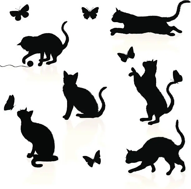 Vector illustration of Cats and butterflies.