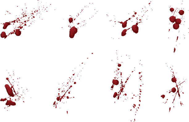 Collection of blood or paint splatters "Collection of blood or paint splatters. This is not an live trace. Each splatter grouping is hand shaded and on its own layer. Easily add or subtract portions or change to a single color. Extra folder includes Illustrator CS2 AI file, transparent PNG and PDF file." splattered blood stock illustrations