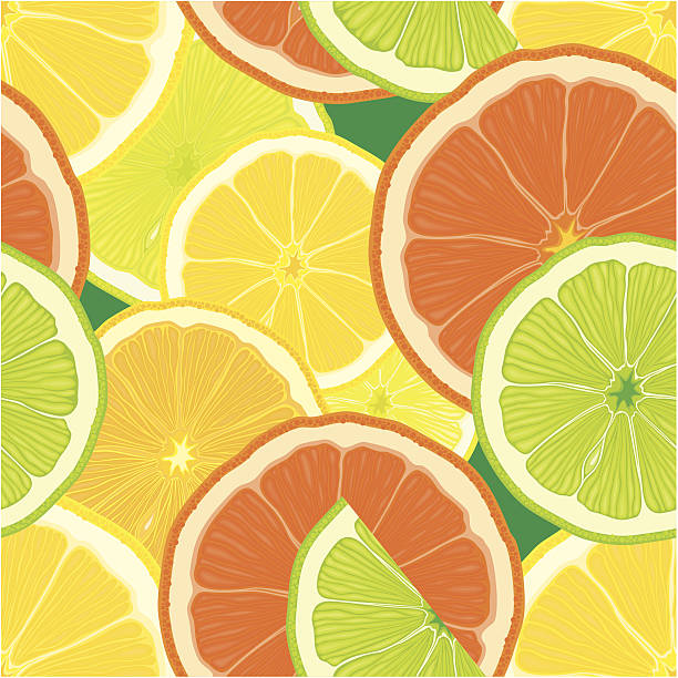 citrus seamless background vector art illustration