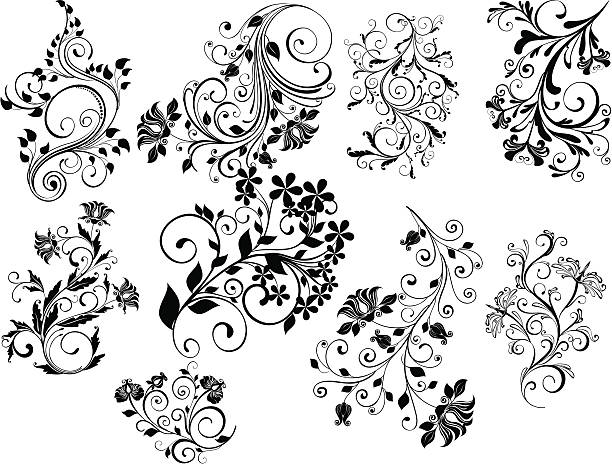 Ensemble d'éléments de florales - Illustration vectorielle