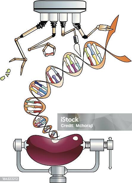 De Geneticamente Modificados - Arte vetorial de stock e mais imagens de ADN - ADN, Braço Robotizado, Comida e Bebida