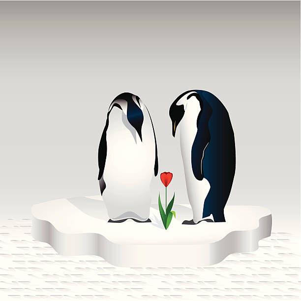 260+ Two Penguins Stock Illustrations, Royalty-Free Vector