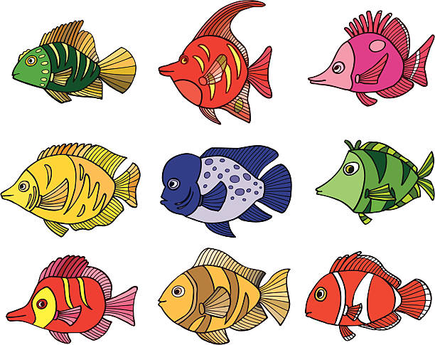 tropical fish vector art illustration